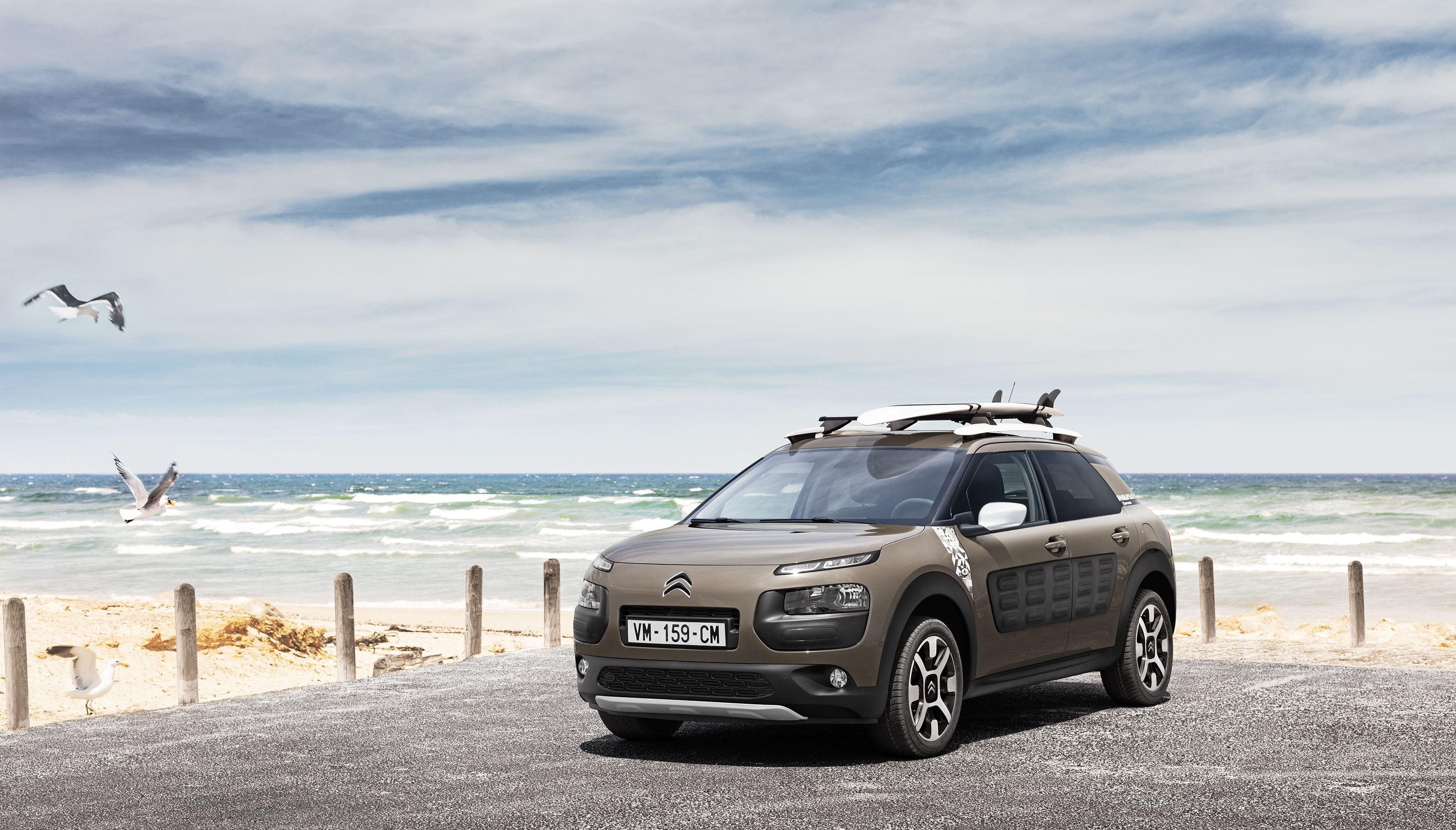 C4 Cactus Rip Curl