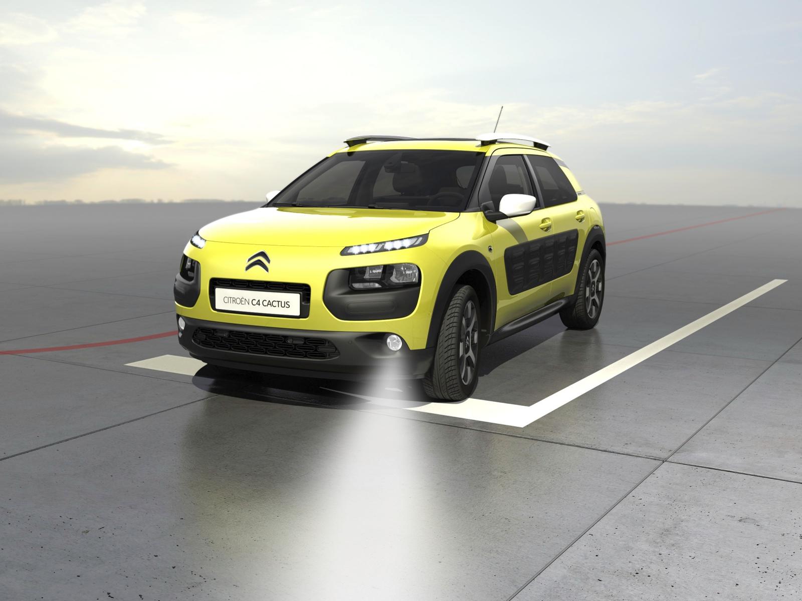 C4 Cactus 2014 static intersection lighting